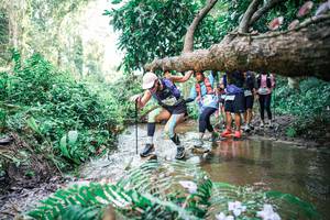 BIB: 
                            <button type="button" onclick="openModal(25478442)" class="btn btn-primary btn-sm float-right btn-popup" data-toggle="modal" data-target=".modal-high-quality">
                        <i class="fas fa-shopping-cart"></i> Add to Cart
                    </button>
                                            <button type="button" onclick="isThisMe(25478442, true)" class="btn btn-success btn-sm float-right btn-popup btn-isme hidden" data-toggle="tooltip" data-placement="bottom" title="นี่คือรูปของคุณใช่ไหม คลิกที่นี่เพื่อเอาเข้าอัลบั้ม">
                        <i class="fas fa-plus"></i> Add to album
                    </button>
                    <button type="button" onclick="isThisMe(25478442, false)" class="btn btn-warning btn-sm float-right btn-popup btn-isnotme hidden">
                        <i class="fas fa-ban"></i> Remove from album
                    </button>